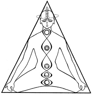 Иллюстрация к книге — Теория и практика йоги [Autogen_eBook_id0.jpg]