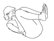 Иллюстрация к книге — Теория и практика йоги [Autogen_eBook_id10.jpg]