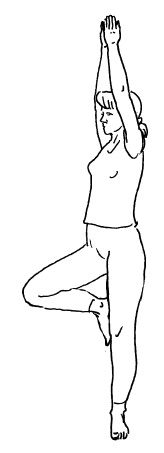 Иллюстрация к книге — Теория и практика йоги [Autogen_eBook_id19.jpg]