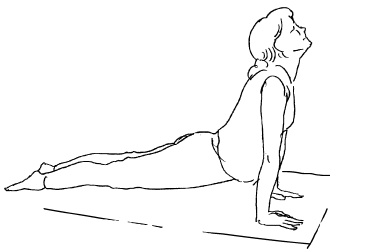 Иллюстрация к книге — Теория и практика йоги [Autogen_eBook_id20.jpg]