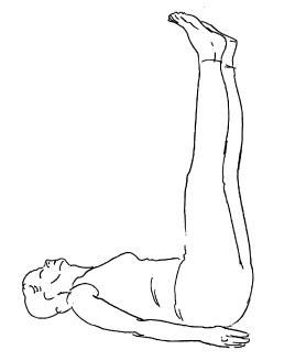 Иллюстрация к книге — Теория и практика йоги [Autogen_eBook_id24.jpg]