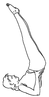 Иллюстрация к книге — Теория и практика йоги [Autogen_eBook_id25.jpg]