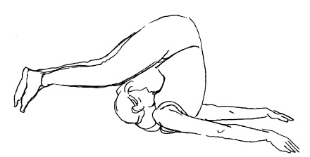 Иллюстрация к книге — Теория и практика йоги [Autogen_eBook_id26.jpg]