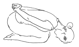 Иллюстрация к книге — Теория и практика йоги [Autogen_eBook_id27.jpg]