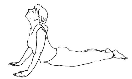 Иллюстрация к книге — Теория и практика йоги [Autogen_eBook_id31.jpg]