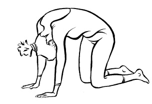 Иллюстрация к книге — Теория и практика йоги [Autogen_eBook_id34.jpg]