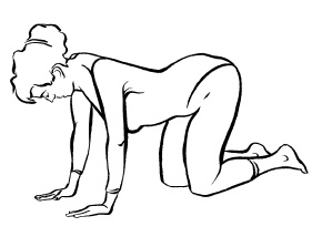 Иллюстрация к книге — Теория и практика йоги [Autogen_eBook_id35.jpg]