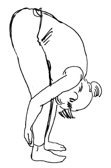 Иллюстрация к книге — Теория и практика йоги [Autogen_eBook_id39.jpg]