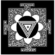 Иллюстрация к книге — Теория и практика йоги [Autogen_eBook_id4.jpg]