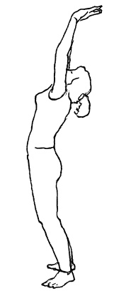 Иллюстрация к книге — Теория и практика йоги [Autogen_eBook_id42.jpg]