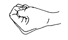 Иллюстрация к книге — Теория и практика йоги [Autogen_eBook_id48.jpg]