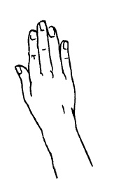 Иллюстрация к книге — Теория и практика йоги [Autogen_eBook_id53.jpg]