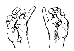 Иллюстрация к книге — Теория и практика йоги [Autogen_eBook_id65.jpg]