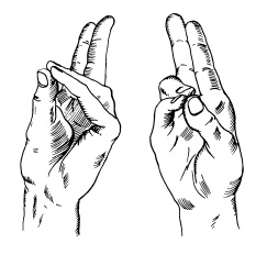 Иллюстрация к книге — Теория и практика йоги [Autogen_eBook_id66.jpg]