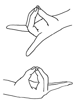 Иллюстрация к книге — Теория и практика йоги [Autogen_eBook_id88.jpg]