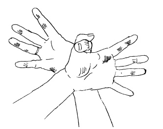 Иллюстрация к книге — Теория и практика йоги [Autogen_eBook_id92.jpg]