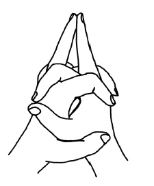 Иллюстрация к книге — Теория и практика йоги [Autogen_eBook_id94.jpg]