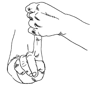 Иллюстрация к книге — Теория и практика йоги [Autogen_eBook_id96.jpg]