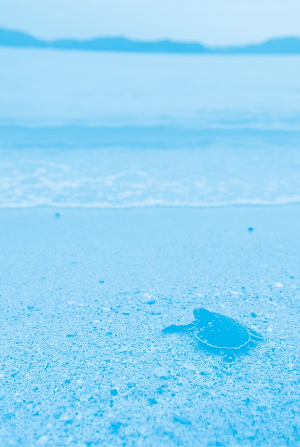 Иллюстрация к книге — Что тебя останавливает? [_2.jpg]