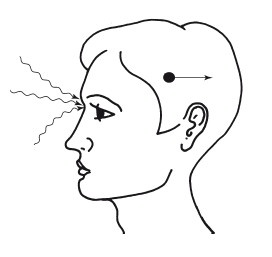 Иллюстрация к книге — Эгрегоры человеческого мира. Логика и навыки взаимодействия [i_052.jpg]