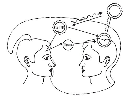 Иллюстрация к книге — Эгрегоры человеческого мира. Логика и навыки взаимодействия [i_083.jpg]