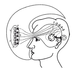 Иллюстрация к книге — Эгрегоры человеческого мира. Логика и навыки взаимодействия [i_090.jpg]