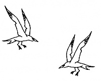 Иллюстрация к книге — Костяной браслет [kb006.jpg]