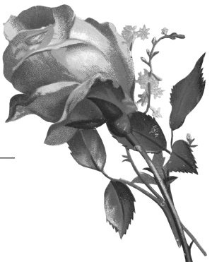 Иллюстрация к книге — Сотвори свое будущее. Как силой мысли изменить судьбу [Autogen_eBook_id1.jpg]