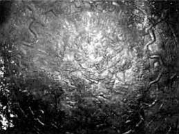 Иллюстрация к книге — 2012. Время великих перемен [_03.jpg]