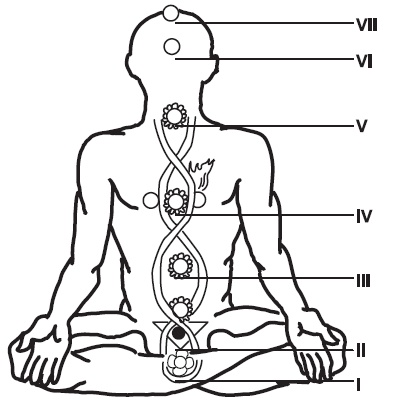 Иллюстрация к книге — Аюрведа и йога для женщин [i_004.jpg]
