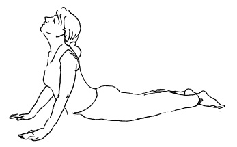 Иллюстрация к книге — Аюрведа и йога для женщин [i_006.jpg]