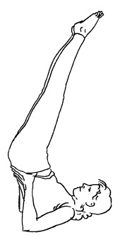 Иллюстрация к книге — Аюрведа и йога для женщин [i_015.jpg]