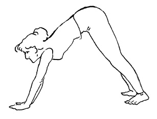 Иллюстрация к книге — Аюрведа и йога для женщин [i_022.jpg]