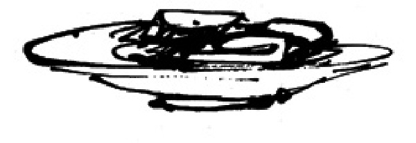 Иллюстрация к книге — Один счастливый случай, или Бобруйские жизнелюбы [i_031.jpg]