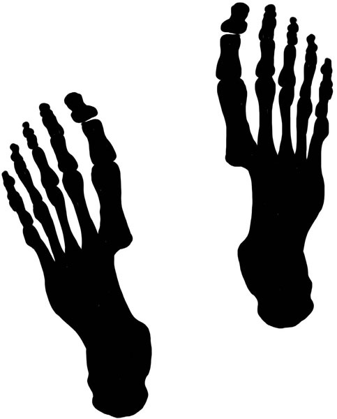 Иллюстрация к книге — Тайна ведьмы Урсулы [_091.jpg]