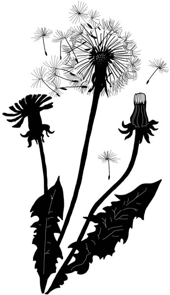 Иллюстрация к книге — Тайна ведьмы Урсулы [_126.jpg]