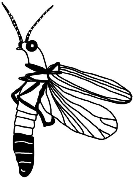 Иллюстрация к книге — Тайна ведьмы Урсулы [_181.jpg]