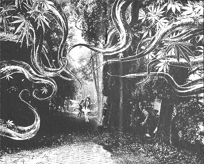 Иллюстрация к книге — Не проклинайте мужа Светом [i_001.jpg]