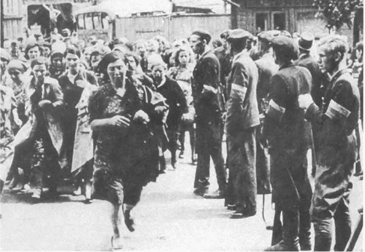 Иллюстрация к книге — Прибалтика. Война без правил (1939-1945) [i_027.jpg]