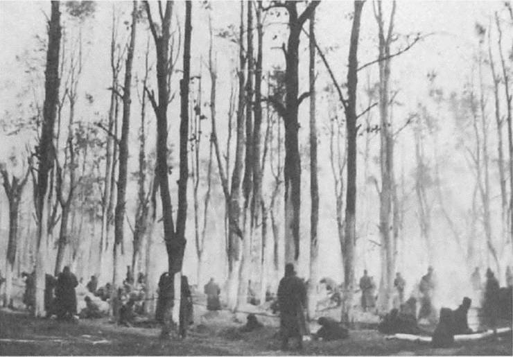 Иллюстрация к книге — Прибалтика. Война без правил (1939-1945) [i_032.jpg]