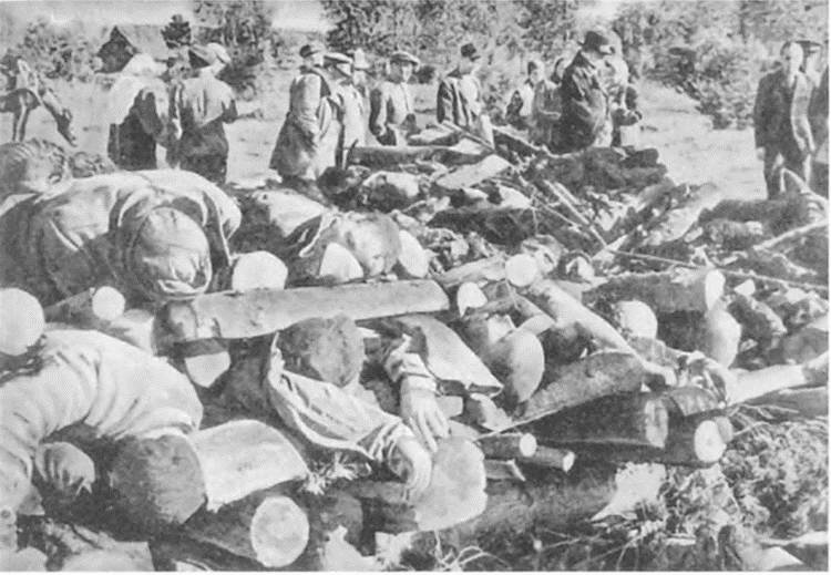 Иллюстрация к книге — Прибалтика. Война без правил (1939-1945) [i_046.jpg]