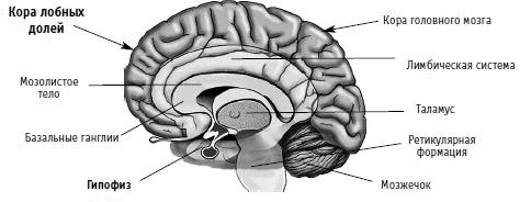 Иллюстрация к книге — Вы просто не умеете худеть! [i_019.jpg]