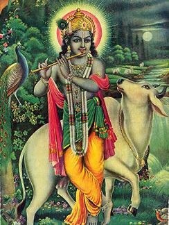 Иллюстрация к книге — Путешествие домой. Автобиография американского йога [img7DCB.jpg]