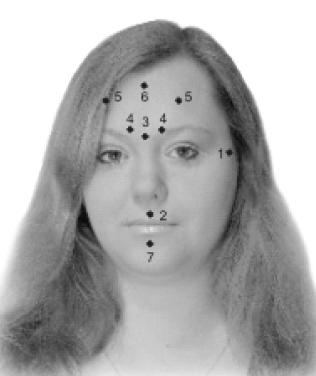 Иллюстрация к книге — Большая книга лифтинг-гимнастики. Лучшие упражнения для молодости и стройности [i_014.jpg]