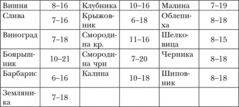 Иллюстрация к книге — Пропуск в третье тысячелетие [i_020.jpg]