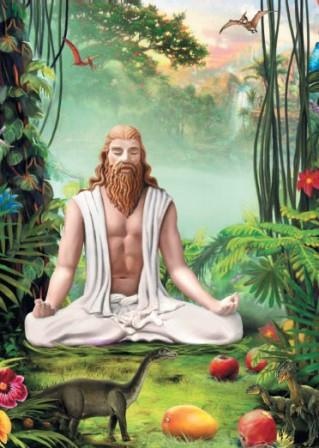 Иллюстрация к книге — Высший вкус жизни. Выход из материальной игры [i_010.jpg]