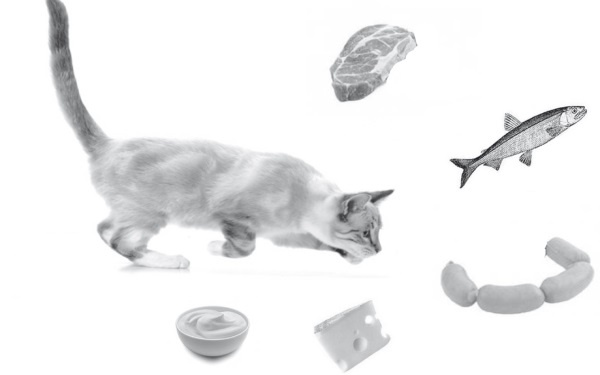 Иллюстрация к книге — Стань стройным и живи долго. Правило кастрюльки и другие стратегии питания [i_012.jpg]