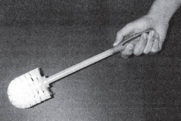 Иллюстрация к книге — Новый мозг [i_001.jpg]