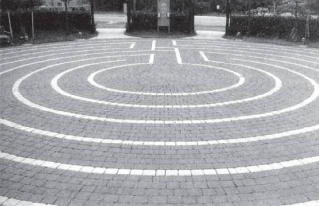 Иллюстрация к книге — Новый мозг [i_006.jpg]