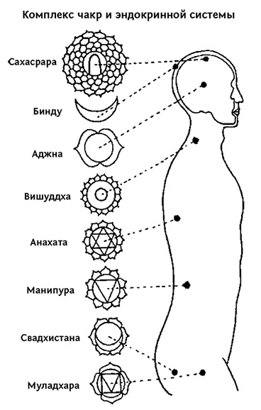 Иллюстрация к книге — Аматуе. Секреты кармических встреч и отношений [i_001.jpg]